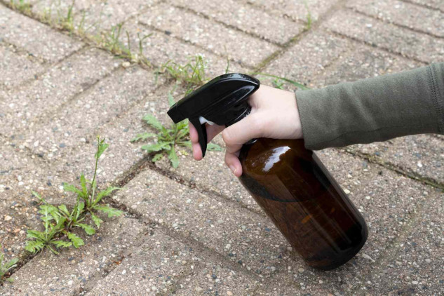 Natural methods to prevent weeds from growing in concrete cracks, including boiling water, vinegar, baking soda, and salt.