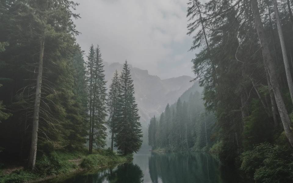 Margaree Valley’s Acadian Ballad