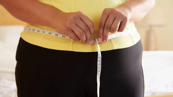 What Can the Stock Market Teach Us About Our Waistlines?