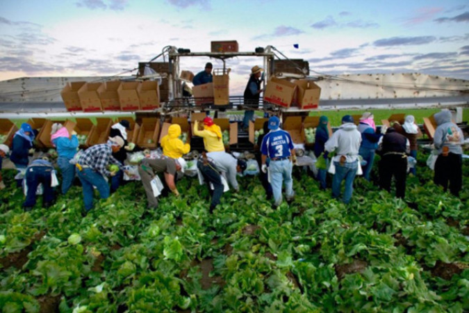 Immigration Jobs vs. AI Displacement: Who Will Do the Work?
