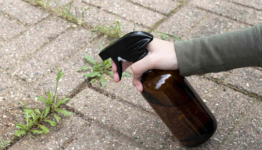 Natural methods to prevent weeds from growing in concrete cracks, including boiling water, vinegar, baking soda, and salt.