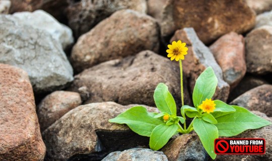 Unlocking the Power of Your Purposeful Life living a purposfull life 6 29