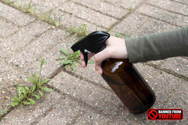 Best Natural Ways to Control Weeds in Concrete Cracks Natural methods to prevent weeds from growing in concrete cracks, including boiling water, vinegar, baking soda, and salt.