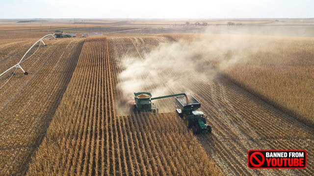 Unveiling the Alarming Truths of the Processed Food Industry: Reclaiming Our Health harvesting corn 5 27