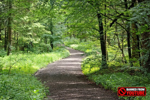 Finding Calm Amidst Chaos: Tips for Mental Well-Being a05uh1eg